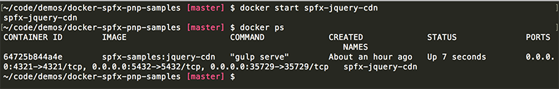 Start and get running Docker Containers